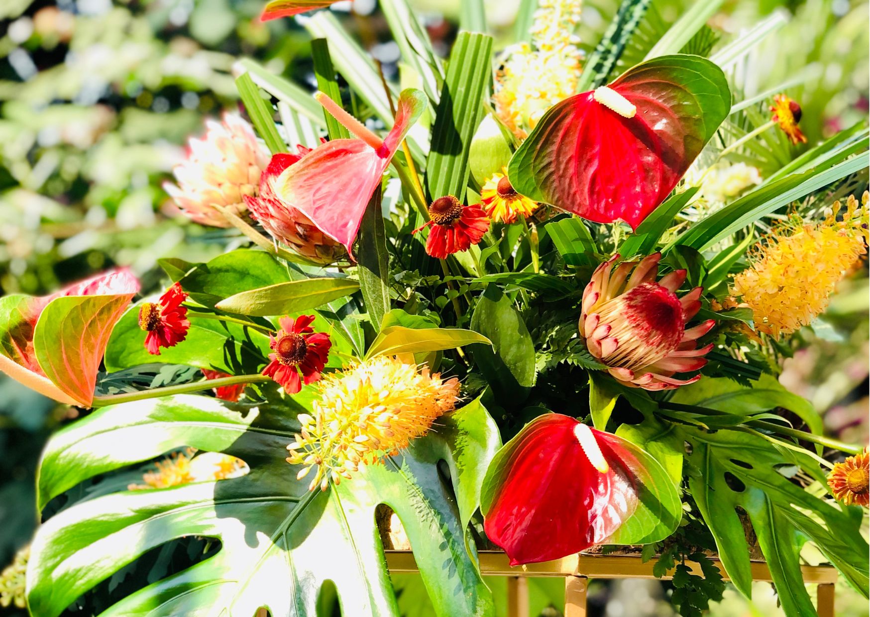 Tropical flowers for weddings in merseyside